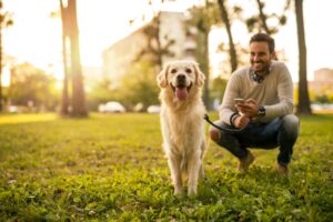 ¿Cuáles son los signos de infecciones por mordeduras de perro?