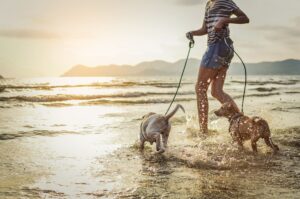 ¿Qué debo hacer después de una mordedura de perro?