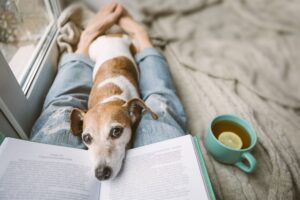 ¿Cuándo debo ir al médico después de una mordedura de perro?