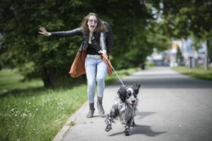 Quién es responsable: Un perro muerde a alguien mientras está al cuidado de un cuidador de perros